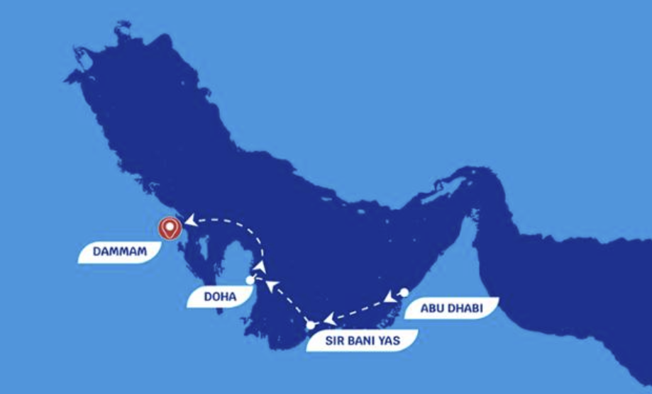 4 Days 3 Night Cruise: Abu Dhabi - Sir Bani Yas - Doha - Dammam