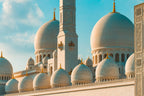 8 Days 7 Nights Cruise: Abu Dhabi - Sir Bani Yas - Doha - Dammam - Dubai - Khasab - Abu Dhabi